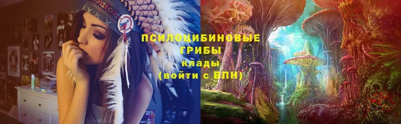 закладки  Ликино-Дулёво  Галлюциногенные грибы MAGIC MUSHROOMS 